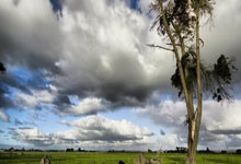 2007年欧洲冠军联赛决赛有哪些经典时刻和深远影响?